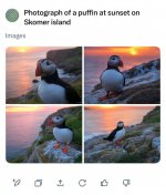 IMG_4216.jpeg IMG_4216.jpeg