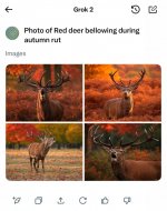 IMG_4224.jpeg IMG_4224.jpeg