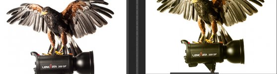 monitor difference.jpg monitor difference.jpg