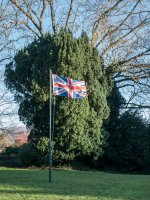 Flag in Sunlight-1020371 PS Adj Upload.JPG Flag in Sunlight-1020371 PS Adj Upload.JPG