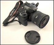 Sony A65 Sigma 10-20mm GX7 P1140752.JPG