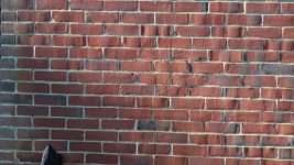 P1001259.JPG P1001259.JPG