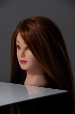 beauty dish_reflector.jpg beauty dish_reflector.jpg