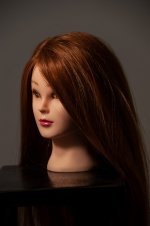 diffused standard.jpg diffused standard.jpg