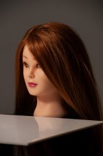 diffused standard_reflector.jpg diffused standard_reflector.jpg