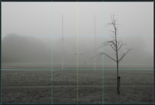 1737107962747.png 1737107962747.png