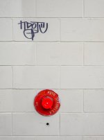 Week 3 - Graffiti 1.JPG Week 3 - Graffiti 1.JPG