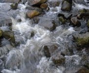 First slow water..jpg First slow water..jpg