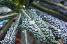 D750, 28-105.jpg D750, 28-105.jpg