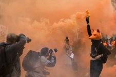 Fight for the Fox --12.jpg