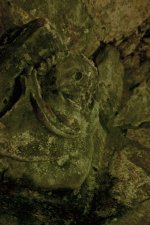 Roche Abbey Gargoyle.jpg