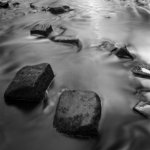 2025-1-21 Causey, Intrepid 4x5 pinhole, Foma 400, EI 200, HC110 Dil H, 005.jpg