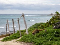 Week 4 - Morning Light (1 of 7).JPG Week 4 - Morning Light (1 of 7).JPG