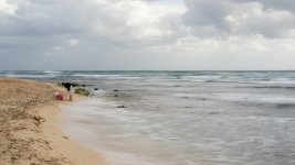 Week 4 - Morning Light (2 of 7).JPG Week 4 - Morning Light (2 of 7).JPG