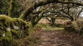 002 Bridleway to Sheeps Tor 02-9578 PS Adj Upload.JPG