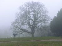 Weather Mist.jpg Weather Mist.jpg