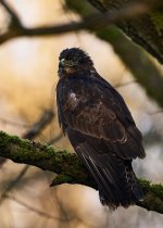 2025-02-02 08.35.43 (DSC08535).jpg