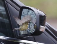 ER7_3772-Enhanced-NR-1000.jpg ER7_3772-Enhanced-NR-1000.jpg