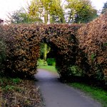 Hole in a Hedge.jpg Hole in a Hedge.jpg