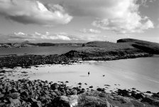 img015-spotted_edited-canvas-v2-copy.jpg img015-spotted_edited-canvas-v2-copy.jpg