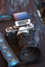 Pictures I took Today 14.jpg