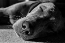 DSC_0668x.jpg DSC_0668x.jpg