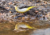 2025-02-05 11.41.55 (DSC03393) 2 1.jpg 2025-02-05 11.41.55 (DSC03393) 2 1.jpg