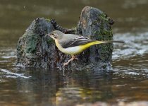 2025-02-05 11.41.38 (DSC02956) denoise & sharpened.jpg 2025-02-05 11.41.38 (DSC02956) denoise & sharpened.jpg