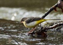 2025-02-05 11.40.53 (DSC02648) 2 1.jpg 2025-02-05 11.40.53 (DSC02648) 2 1.jpg