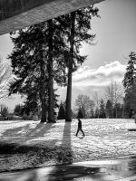 Week 6 - Silhouette 2.JPG