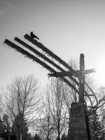 Week 6 - Silhouette 3.JPG