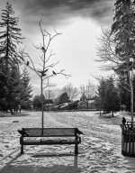 Week 6 - Silhouette 5.JPG