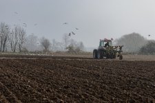 Week 4 - Morning Light.jpg