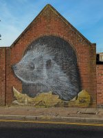 Week 3 - Graffiti.jpg