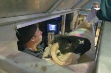 _7812559.jpg _7812559.jpg