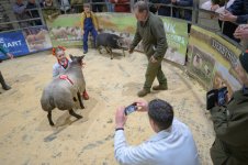 _7812606.jpg _7812606.jpg