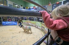 _7812641.jpg _7812641.jpg