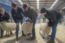 _7812599.jpg _7812599.jpg