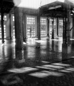 Week 7 - Through the Window 4.JPG