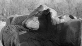 Wooden cow Pateley Bridge.jpg