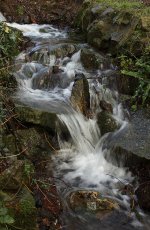 IMG_9226water.jpg IMG_9226water.jpg