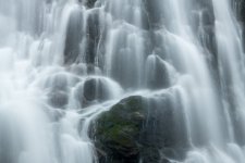 1740092096581.jpeg 1740092096581.jpeg