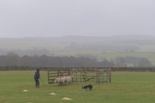 _7812679.jpg _7812679.jpg