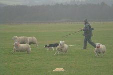 _7817474.jpg _7817474.jpg