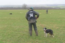 _7812664.jpg _7812664.jpg