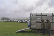 _7812681.jpg _7812681.jpg