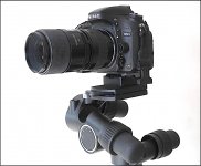 Nikon D600 Tamron 90mm and Extension tube Manfrotto 405 geared Head GX7 P1140990.JPG