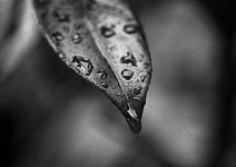 untitled_9.jpg untitled_9.jpg