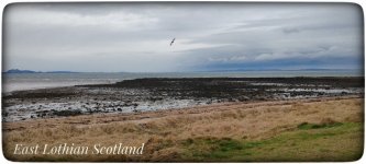 1000035433.jpg 1000035433.jpg