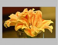 First D70s samples.jpg